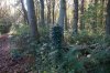 DSC01719-Middel