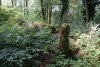 DSC00759