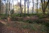 DSC01758-Groot
