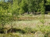 DSC01076