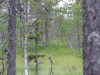 Zweden2007_121